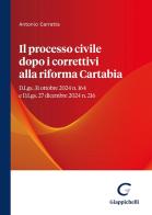 Il processo civile dopo i correttivi alla riforma Cartabia. D.Lgs. 31 ottobre 2024 n. 164 e D.Lgs. 27 dicembre 2024 n. 216 di Antonio Carratta edito da Giappichelli