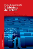 Il labirinto del delitto di Fabio Bergamaschi edito da Robin Edizioni