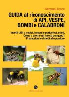 Guida al riconoscimento di api, vespe, bombi e calabroni di Giovanni Bosca edito da Montaonda