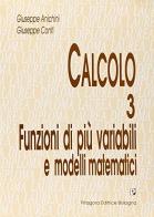 Calcolo vol.3 di Giuseppe Anichini, Giuseppe Conti edito da Pitagora