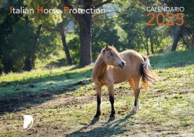 La luce dell'anima. Calendario 2025 edito da Masso delle Fate