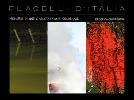 Flagelli d'Italia: memorie di una civilizzazione selvaggia di Federica Chiarentini edito da Vanillaedizioni