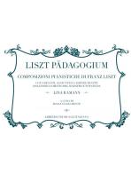 Liszt Pädagogium. Composizioni pianistiche di Franz Liszt edito da LIM