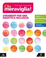 Che meraviglia! Strumenti per una didattica inclusiva. Per la Scuola media. Con e-book. Con espansione online di Dionisio Castello, Daniele Castello edito da Minerva Scuola