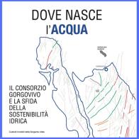 Dove nasce l'acqua. Il Consorzio Gorgovivo e la sfida della sostenibilità idrica. Ediz. illustrata di Gorgovivo edito da Venturaedizioni