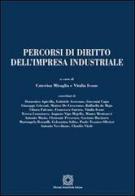 Percorsi di diritto dell'impresa industriale edito da Edizioni Scientifiche Italiane