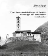 Tra i due rami del lago di Como: panorami del romanico lariano. Nuova ediz. di Alberto Novati, Francesco Sala edito da GWMAX