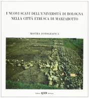 I nuovi scavi dell'Università di Bologna nella città etrusca di Marzabotto. Catalogo della mostra edito da CLUEB