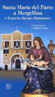 Santa Maria del Parto a Mergellina e il poeta Jacopo Sannazaro di Attilio M. Carrella edito da Velar