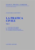 La pratica civile vol.1 di Luigi Maria Sanguineti edito da Giuffrè