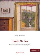 Il mio Galles. Piccola antologia sentimentale di poeti gallesi. Ediz. italiana, gallese e inglese di Marta Maddalon edito da ilfilorosso