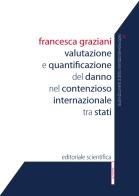 Valutazione e quantificazione del danno nel contenzioso internazionale tra stati di Francesca Graziani edito da Editoriale Scientifica