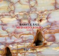 Barry x Ball. Medardo Rosso project. Ediz. a colori di Elisabetta Barisoni, Francesco Guzzetti, David Raskin edito da Magonza
