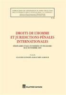 Droits de l'homme et juridictions penales internationales di Claudio Zanghì, Rafaa Ben-AChour edito da Giuffrè