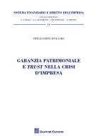 Garanzia patrimoniale e trust nella crisi d'impresa di Piergiuseppe Spolaore edito da Giuffrè