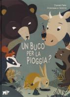 Un buco per la pioggia? Ediz. a colori di Daniel Fehr edito da Pulce