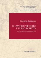 Il lavoro precario e il suo diritto. Un'introduzione critica di Giorgio Fontana edito da Editoriale Scientifica