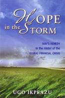 Hope in the storm. God's remedy in the midst of the global financial crisis di Ugo Ikpeazu edito da Destiny Image Europe