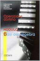Operazione domino. Modulo B: Le basi dell'algebra. Per le Scuole superiori edito da CEDAM