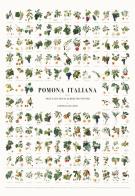 MANIFESTO DEI FRUTTI DELLA POMONA ITALIANA. Illustrazioni originali delle 142 varietà di frutta antica descritte nella Pomona Italiana di Giorgio Gallesiol. Ediz. il edito da Temposospeso