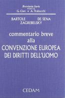 Commentario breve alla convenzione europea dei diritti dell'uomo di Sergio Bartole, Pasquale De Sena, Vladimiro Zagrebelsky edito da CEDAM