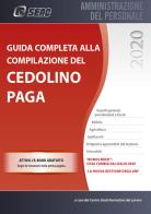 Guida completa alla compilazione del cedolino paga edito da Seac