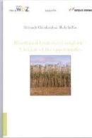 Bio-Ethanol from sweet sorghum. A review of the opportunity di Sirinuch Chindaruksa, Michela Pin edito da Lampi di Stampa