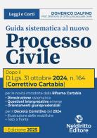 Guida sistematica al nuovo processo civile aggiornato al Decreto Correttivo Cartabia D.Lgs. 31 ottobre 2024, n. 164 di Domenico Dalfino edito da Neldiritto Editore
