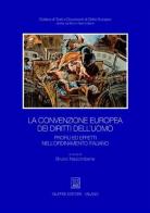 La convenzione europea dei diritti dell'uomo. Profili ed effetti nell'ordinamento italiano edito da Giuffrè