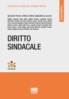 Diritto sindacale edito da Maggioli Editore