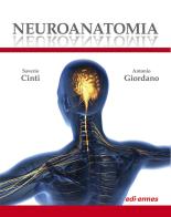 Neuroanatomia. Ediz. illustrata di Saverio Cinti, Antonio Giordano edito da Edi. Ermes