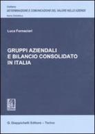 Gruppi aziendali e bilancio consolidato in Italia di Luca Fornaciari edito da Giappichelli