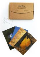 Semina. Poesie e immagini da condividere. Con cartoline di Rita Casalini, Marco Tondini edito da Officine Gutenberg