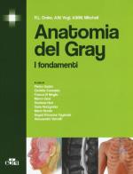 Anatomia del Gray. I fondamenti di Richard L. Drake, A. Wayne Vogl, Adam W. Mitchell edito da Edra