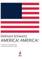 America!america! di Delmore Schwartz edito da Venturaedizioni