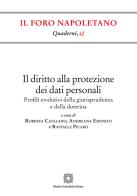 Il diritto alla protezione dei dati personali. Profili evolutivi della giurisprudenza e della dottrina edito da Edizioni Scientifiche Italiane