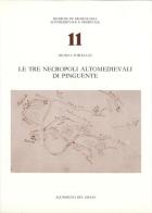 Le tre necropoli altomedievali di Pinguente di Michela Torcellan edito da All'Insegna del Giglio