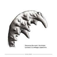 Quaderni di zoologia imperfetta. Francesco Massaro & Bestiario. Con QR Code edito da Kappabit