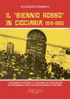 Il «biennio rosso» in Ciociaria 1919-1920. Il movimento operaio e contadino nei circondari di Frosinone e Sora tra dopoguerra e fascismo di Maurizio Federico edito da Tipografia Editrice Frusinate