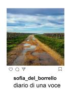 Diario di una voce di Sofia Del Borrello edito da Youcanprint