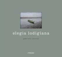 Elegia lodigiana. Ediz. illustrata di Gabriele Cecconi edito da emuse