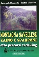 Montagna savellese. Zaino e scarponi. Otto percorsi trekking di Pasquale Marzullo, Pietro Pontieri edito da Progetto 2000