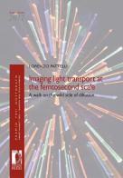 Imaging light transport at the femtosecond scale. A walk on the wild side of diffusion di Lorenzo Pattelli edito da Firenze University Press