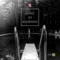 Song of mourning. Ediz. italiana e inglese di Francesca Del Mar, Arianna Lanzuisi edito da Edizioni Epoké