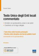 Testo Unico degli Enti locali commentato. Annotato con giurisprudenza, prassi e casi pratici. Coordinato con le leggi collegate di Riccardo Carpino edito da Maggioli Editore