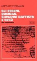 Gli esseni, Qumran, Giovanni Battista e Gesù. Una monografia
