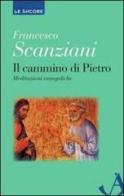 Il cammino di Pietro. Meditazioni evangeliche di Francesco Scanziani edito da Ancora