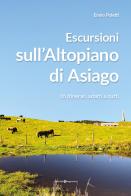 Escursioni sull'altopiano di Asiago. 16 itinerari adatti a tutti di Ennio Poletti edito da Editoriale Programma