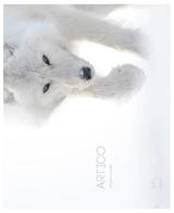 Artico. Ediz. illustrata di Vincent Munier edito da 5 Continents Editions