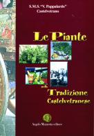 Le piante nella tradizione castelvetranese di Antonella Millacca, Gaspare Lombardo edito da Angelo Mazzotta Editore